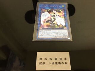 ハーピィ・コンダクター シークレット