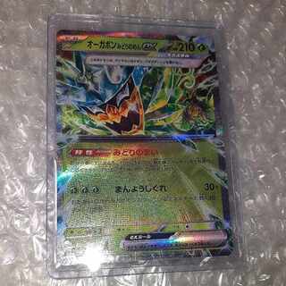 Ogapon Midori-no-men ex RR 016/101