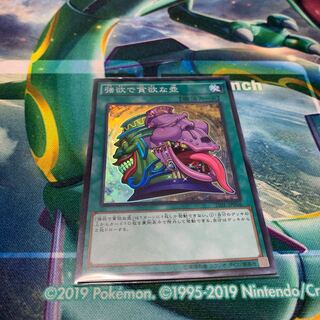 強欲で貪欲な壺 SR