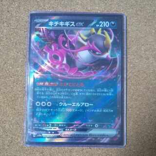 キチキギスex RR 038/064