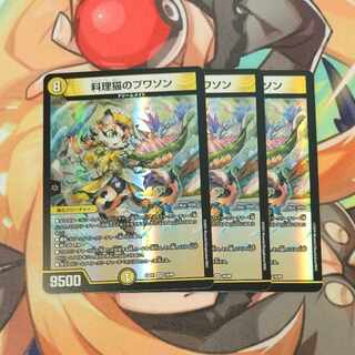 Cooking Cat Puisson VR 16/89