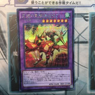 【かずくん様専用】天翔の竜騎士ガイア