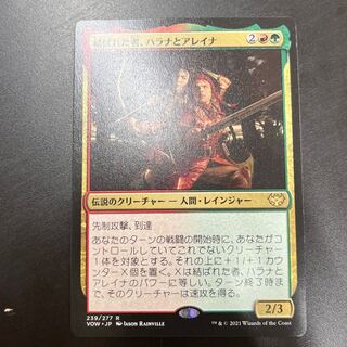 結ばれた者、ハラナとアレイナ レア 239/277