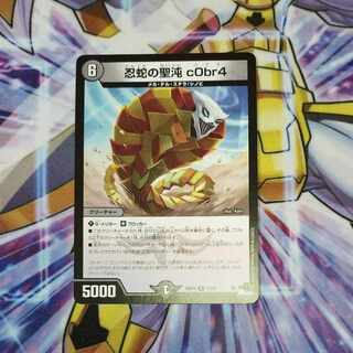忍蛇の聖沌 c0br4 R 17/74