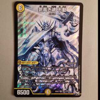 気高き魂　不動　シークレット