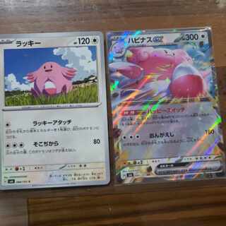 Blisseyex RR 085/101