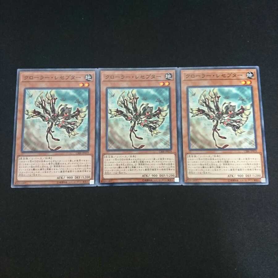 クローラー・レセプター N