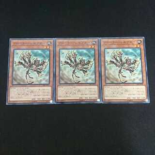 クローラー・レセプター N