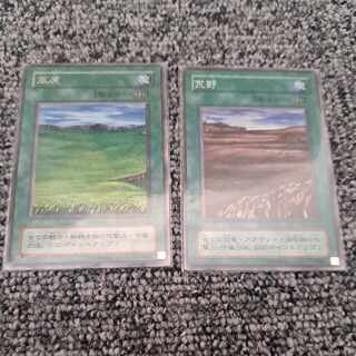 Yu-Gi-Oh! Grasslands Wasteland Rare
