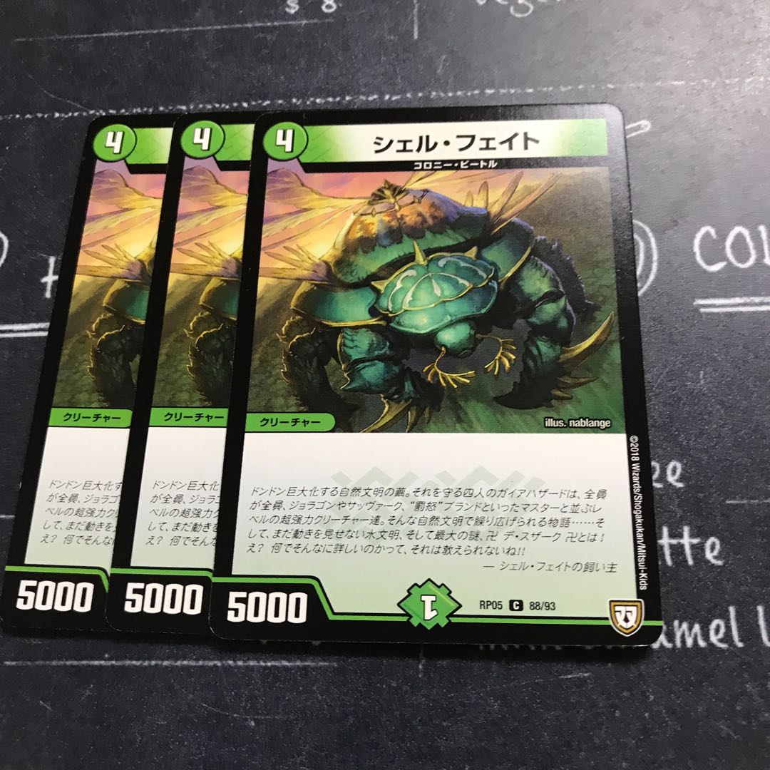 シェル・フェイト