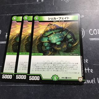 シェル・フェイト