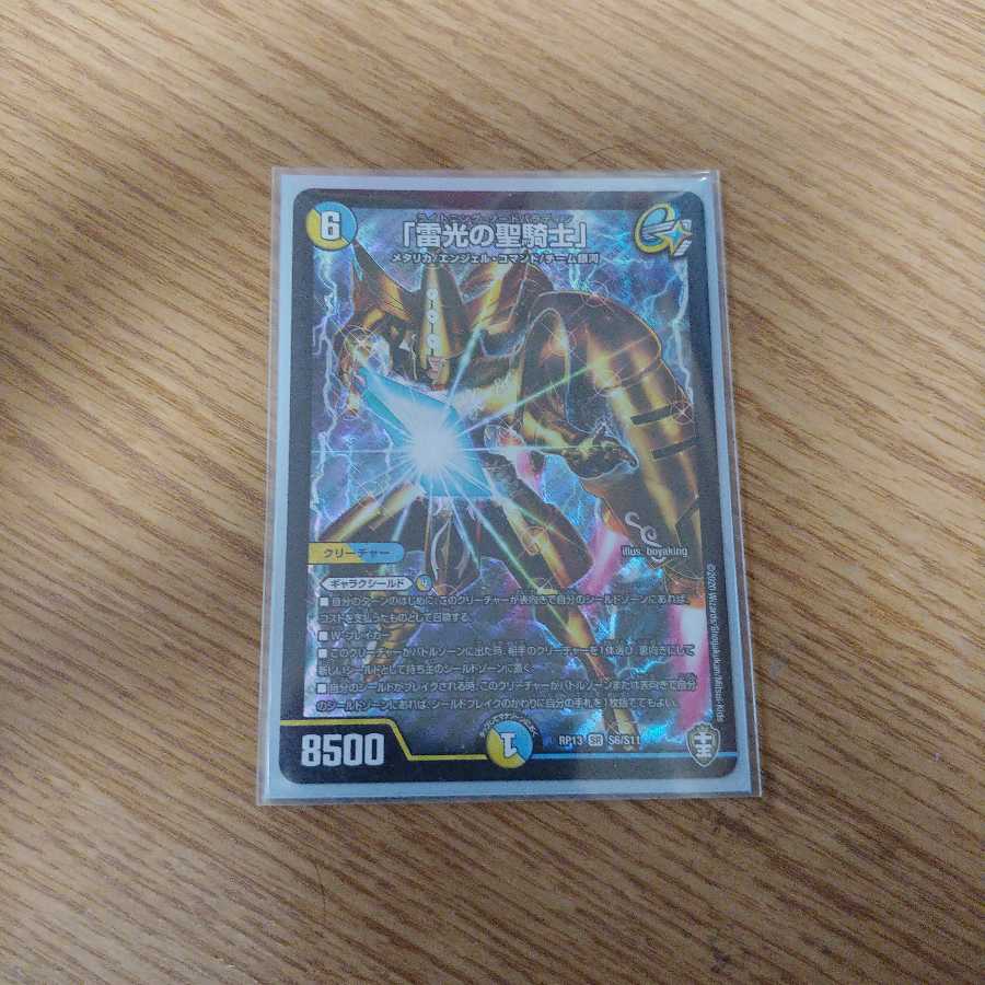 「雷光の聖騎士」