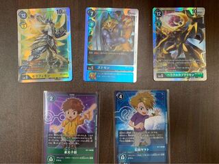 番犬ぽち様専用 画像のカードセット