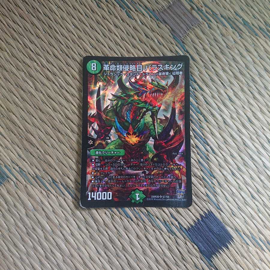 Restructer Revolutionary Invasions Pa.