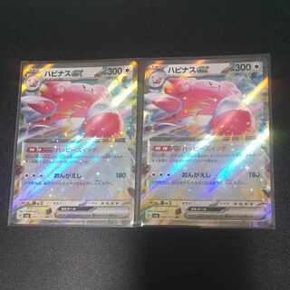 Blisseyex RR 085/101