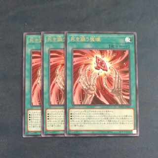 Demon eyes that proclaim death Rare ROTA-JP065✕3 [Mokurindo
