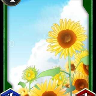 Sカード　レベル: 54 Asset Value: 63