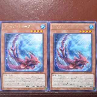 Kurama shark, rare ROTA-JP002