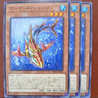 Armored shark, normal ROTA-JP003