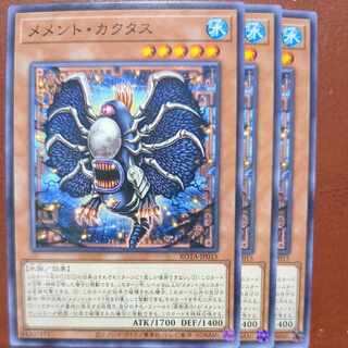 Memento Cactus Normal ROTA-JP015