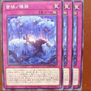 Bud disaster no Aeto Normal ROTA-JP077