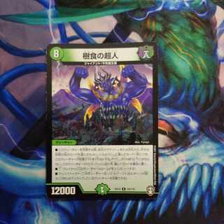 Psychic person of arboreal food R 19/110