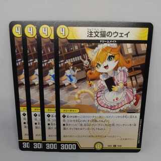 Order Cat's Way C 70/89