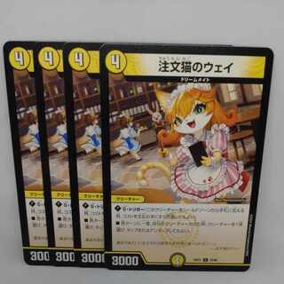 Order Cat's Way C 70/89