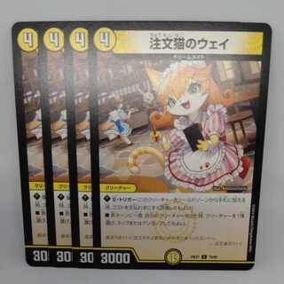 Order Cat's Way C 70/89