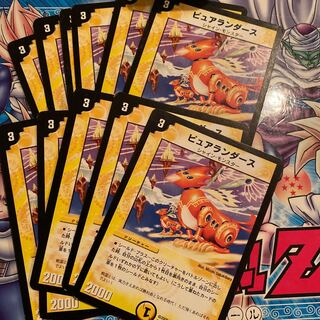 ピュアランダース