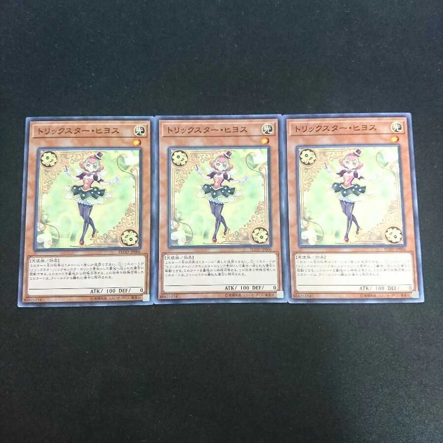 トリックスター・ヒヨス N