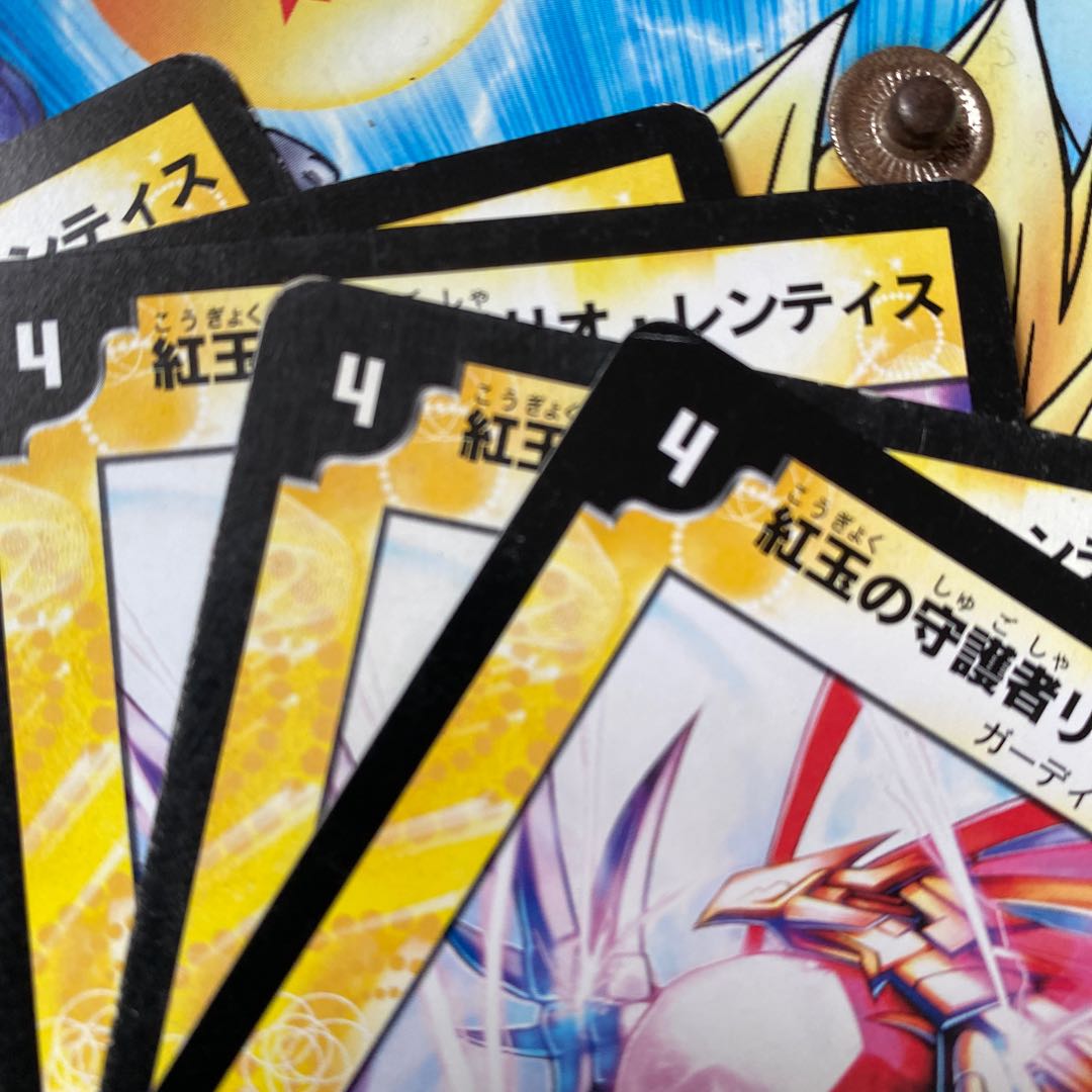 紅玉の守護者リオ・レンティス