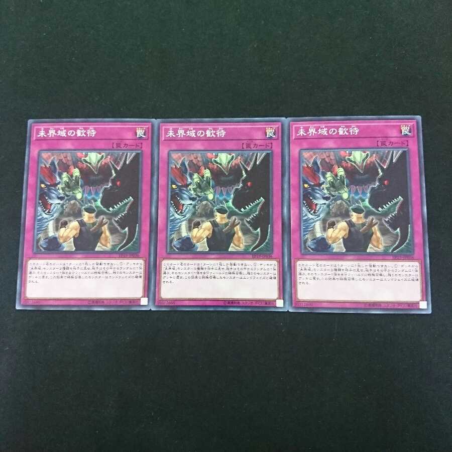 未界域の歓待 N