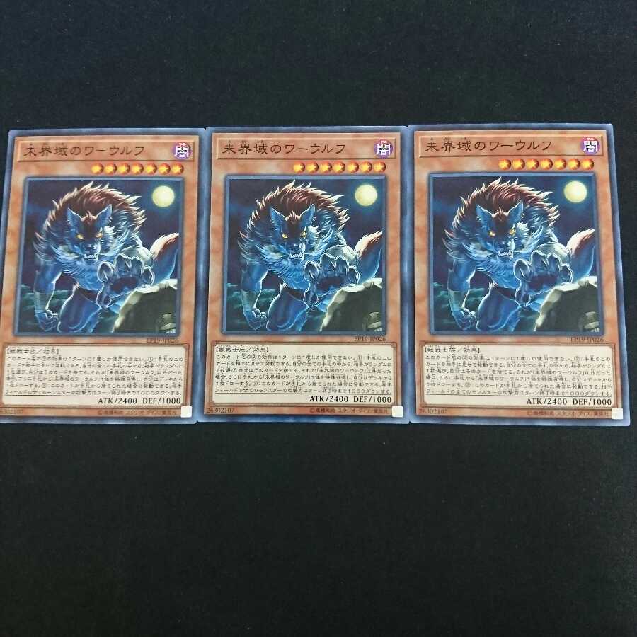 未界域のワーウルフ N