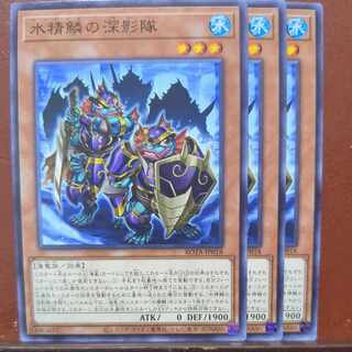 Water Seirin no Shinkageitai Normal ROTA-JP018