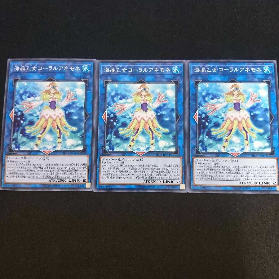 海晶乙女コーラルアネモネ N