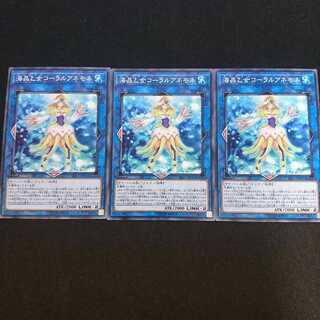 海晶乙女コーラルアネモネ N