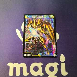 「雷光の聖騎士」