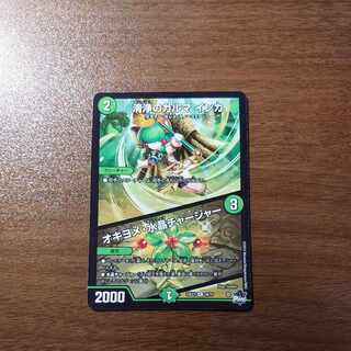 清浄のカルマ インカ｜オキヨメ・水晶チャージャー R 24/74