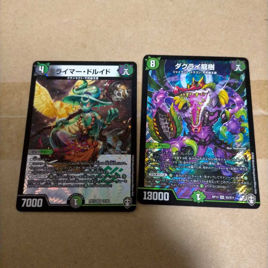 ライマードルイドとダクライ龍樹