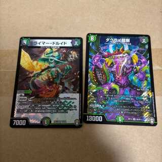 ライマードルイドとダクライ龍樹