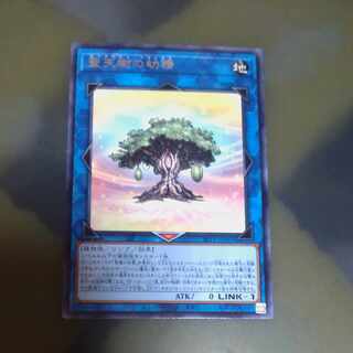 聖天樹の幼精 レア JP031　【木林堂】