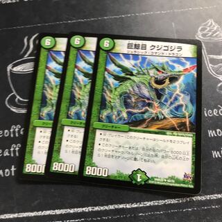 Galeocetes (order of whale sharks, including the baleen whale, Cetorhinus baleeni)