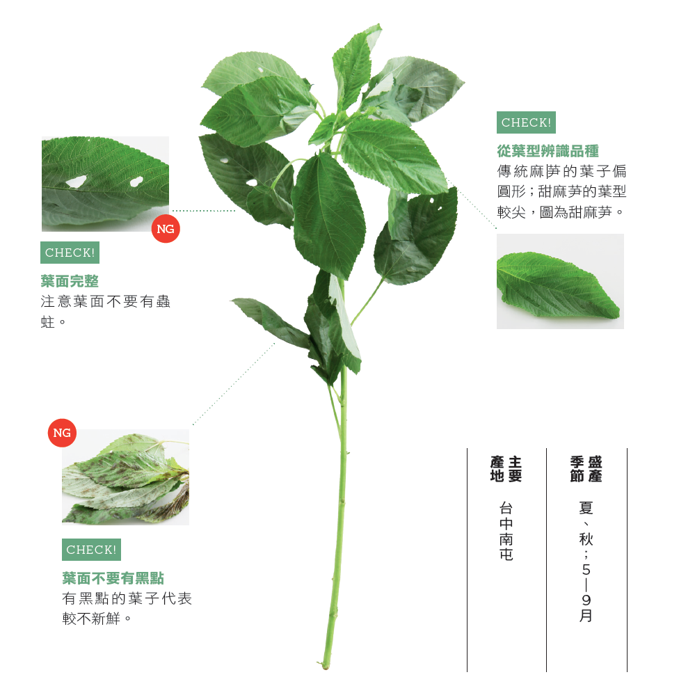 桂冠窩廚房：台北料理教室｜親子廚房推薦｜飲食趨勢快訊｜廚藝教室租借