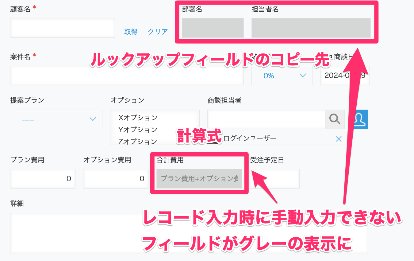 レコード入力時に手動入力できないフィールドであることが、 フォーム