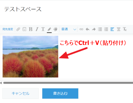 クリップボード貼り付け対応