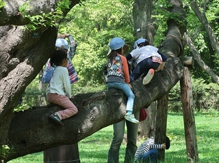 2018年６月　③管理と見守り（遊ぶ力・安全編）