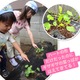 え？せっかく出てきた芽を？