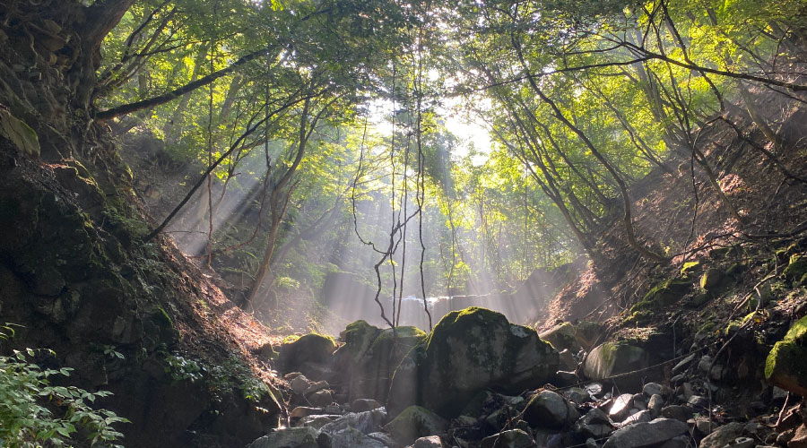 iPhoneで撮影した風景