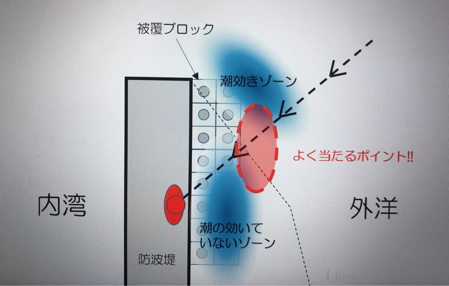 潮の境目を狙う